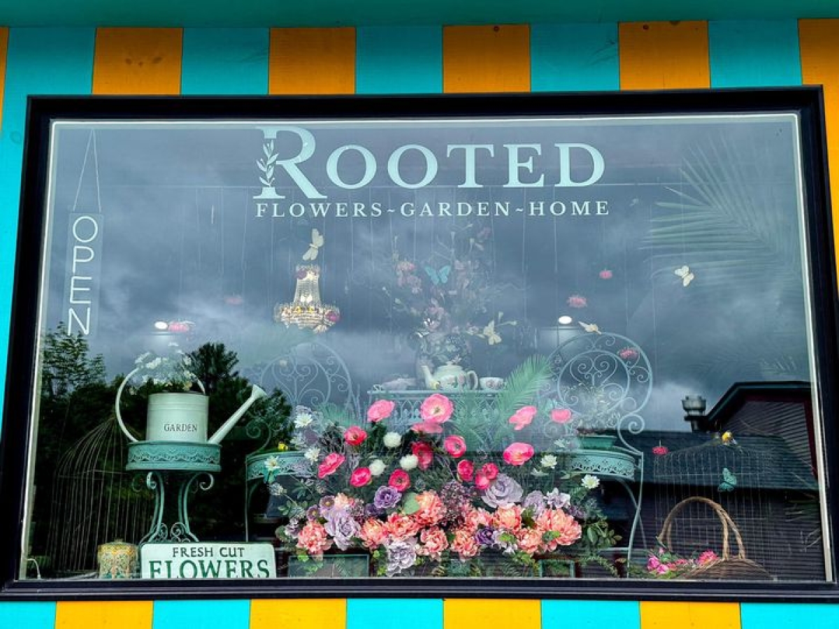 Rooted by Moonlight Meadow Flower Farm | Great Northern Catskills